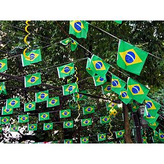 Varal Bandeirinhas do Brasil 2 Estampas Tecido 20x30 3 metros