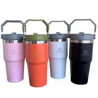 Garrafa Térmico Com Alça 600ML