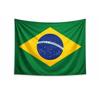 Bandeira do Brasil Tecido 60x90